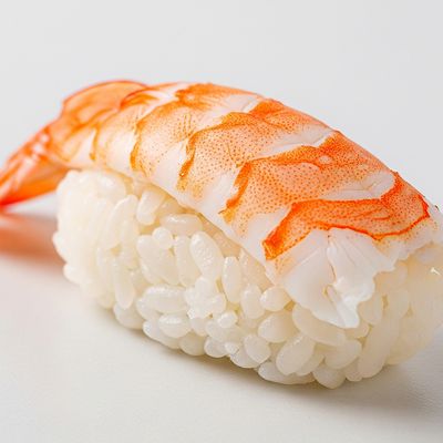 SHRIMP Nigiri